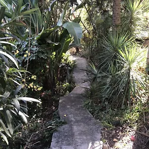 Casa Simba (adults Only) Gasthuis